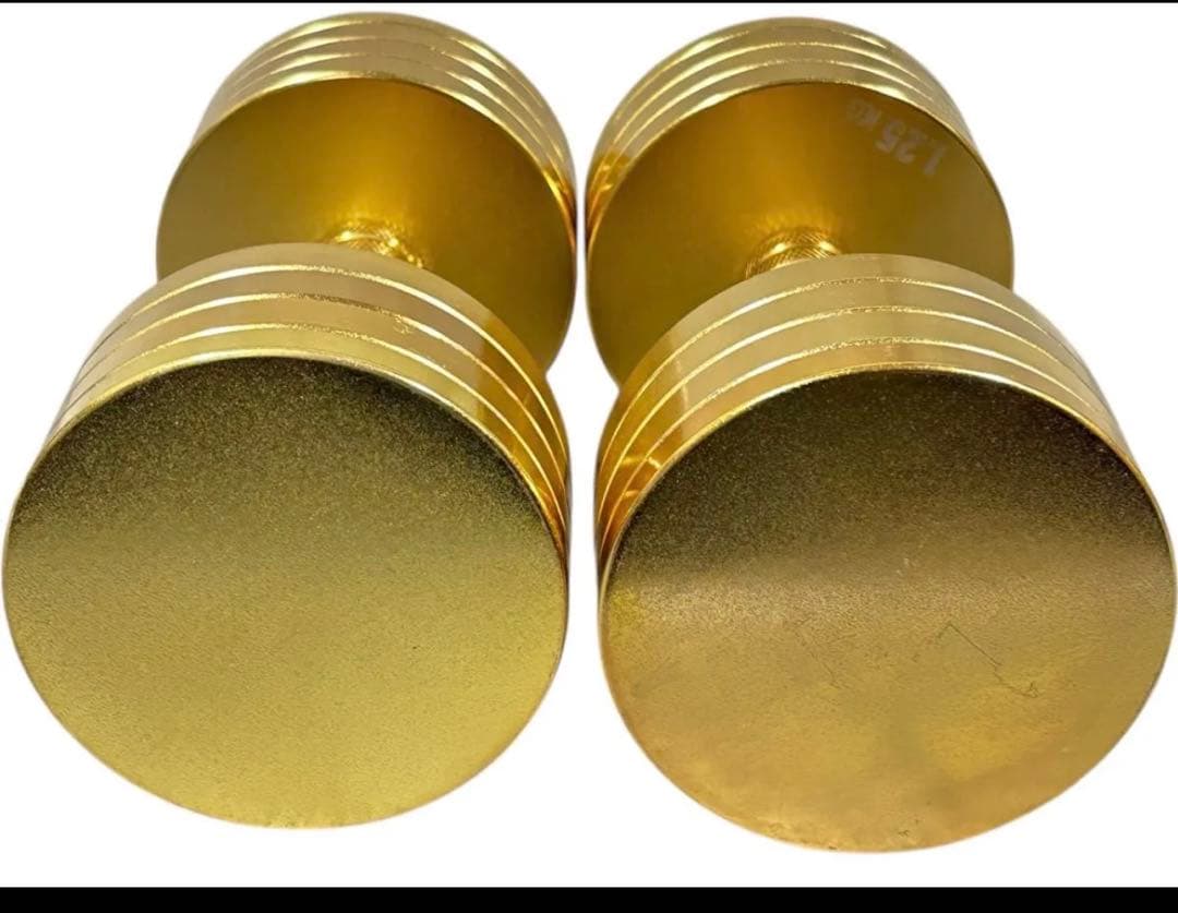 【美品】NORTHDEER サンドブラスト版 ゴールド 可変式ダンベル 10kg