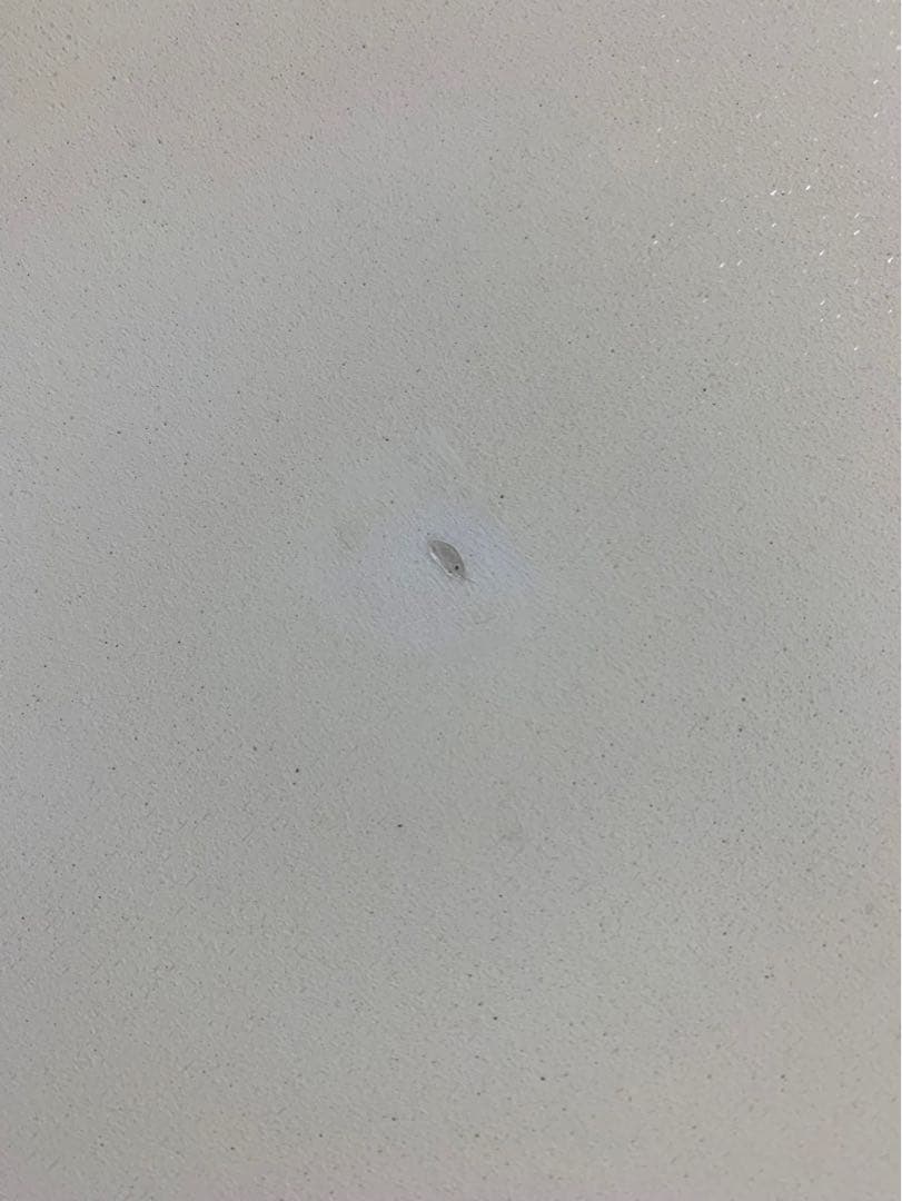 【即購入NG・手渡しのみ】 Firewire ファイヤーワイヤーサーフボード