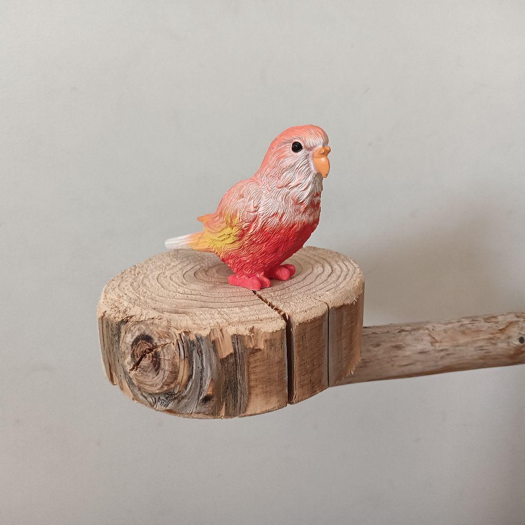 鳥羽 バードアスレチックジム大型 天然木 自然木 流木 インコ おもちゃ