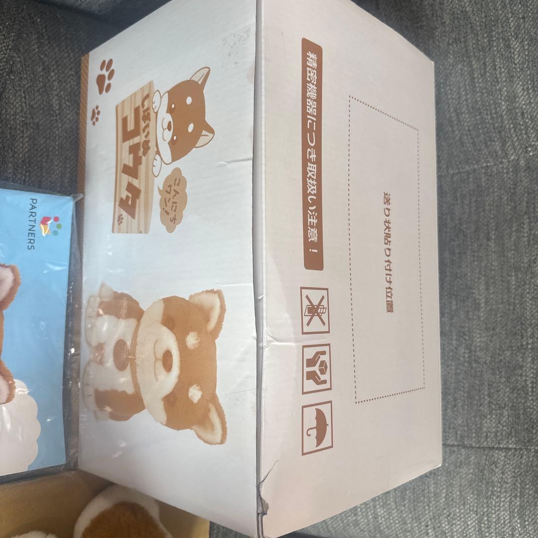 しばいぬコウタ　バンダナ無し