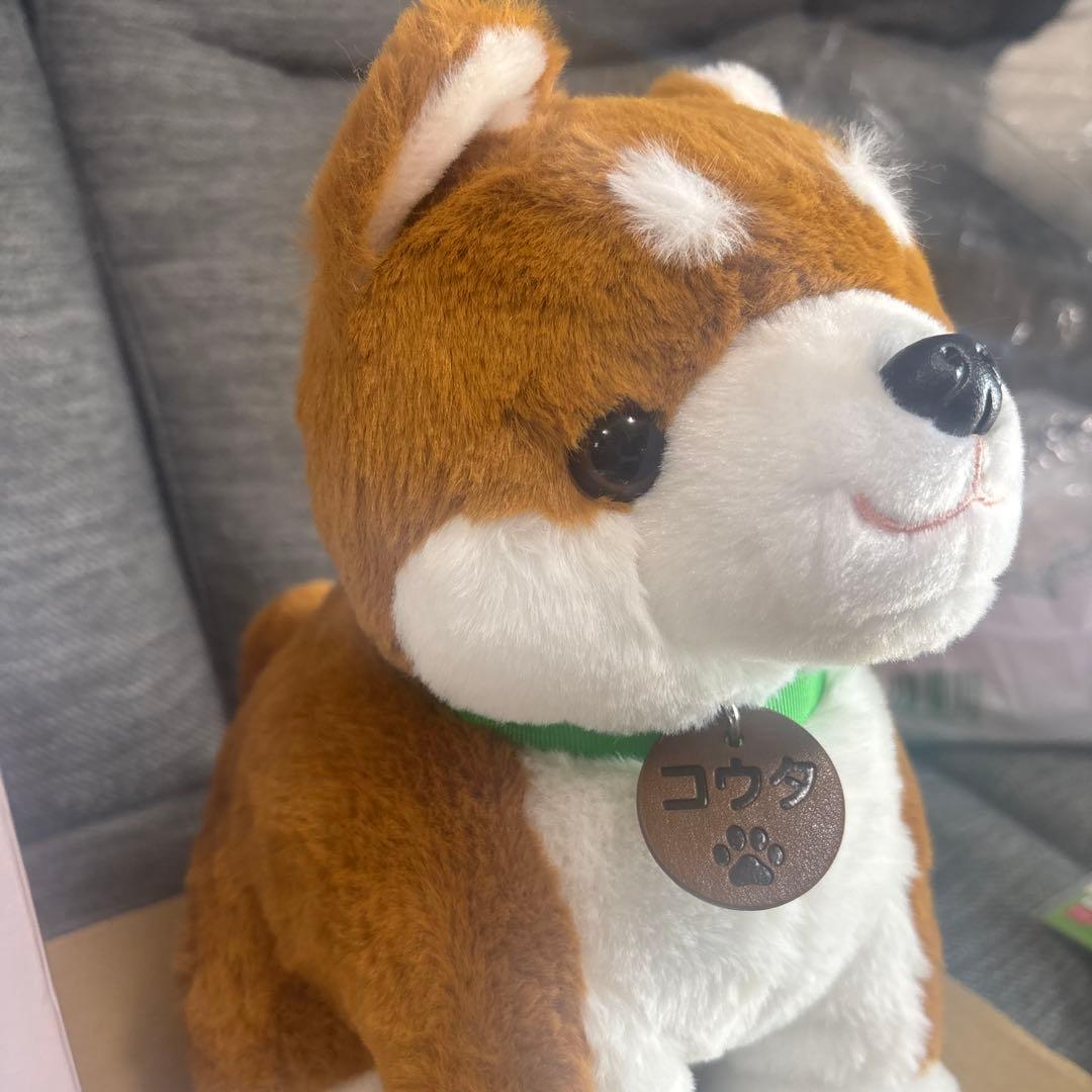 しばいぬコウタ　バンダナ無し