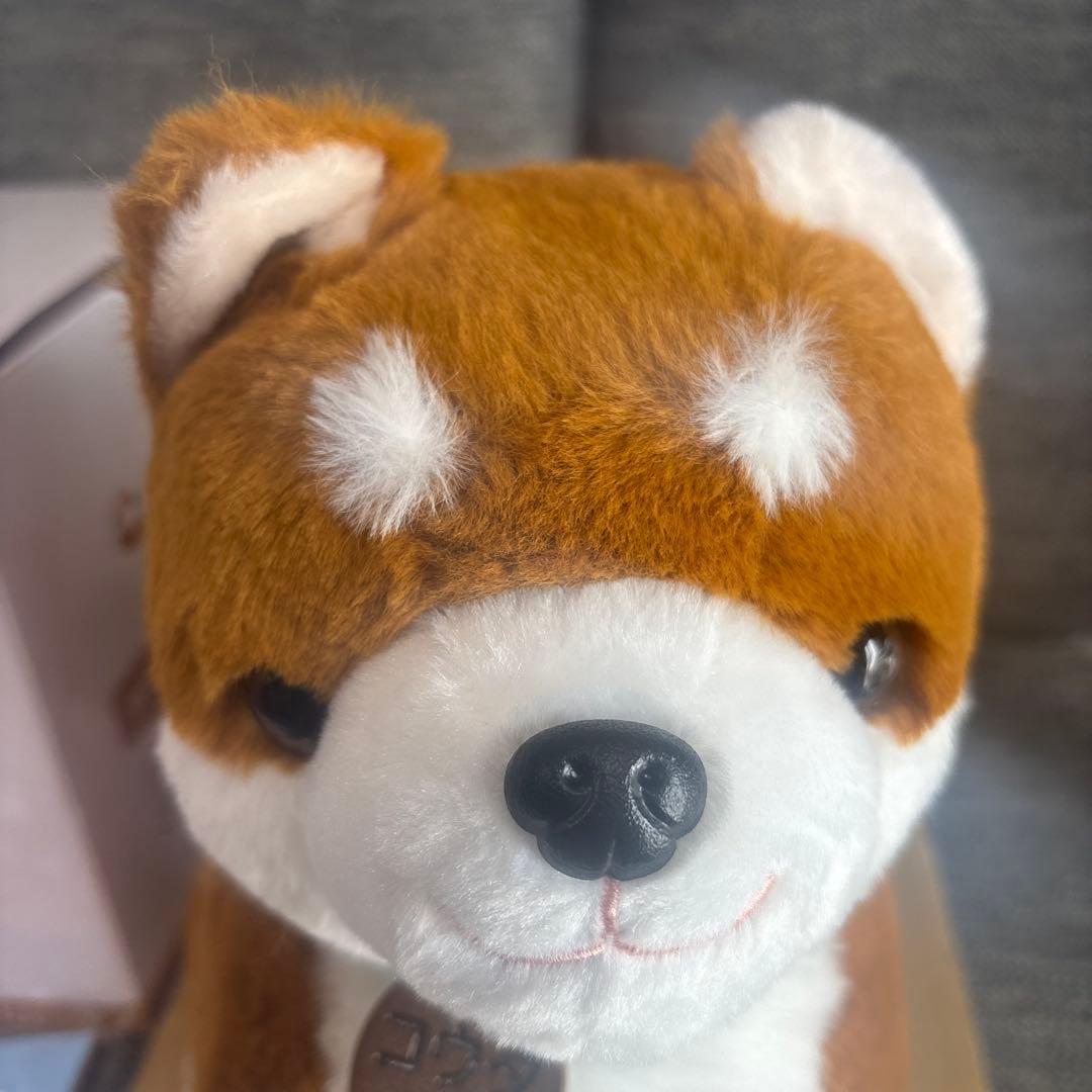 しばいぬコウタ　バンダナ無し