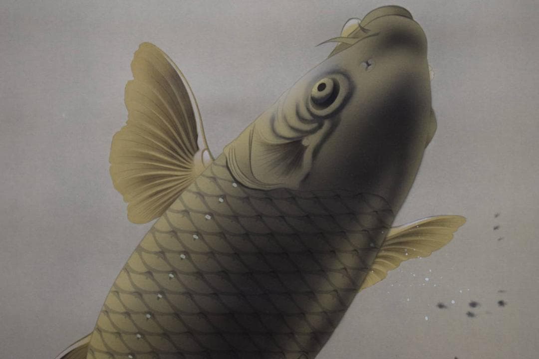 真作/契鳳/龍門鯉/跳鯉/桐共箱付/布袋屋掛軸HG-139