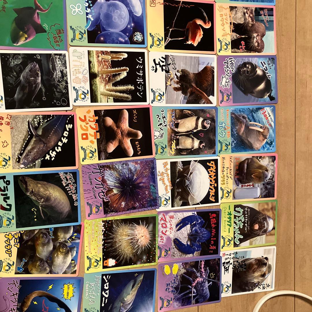 【週末値下げ中】鳥羽水族館コレクションカード　レアキラメイ