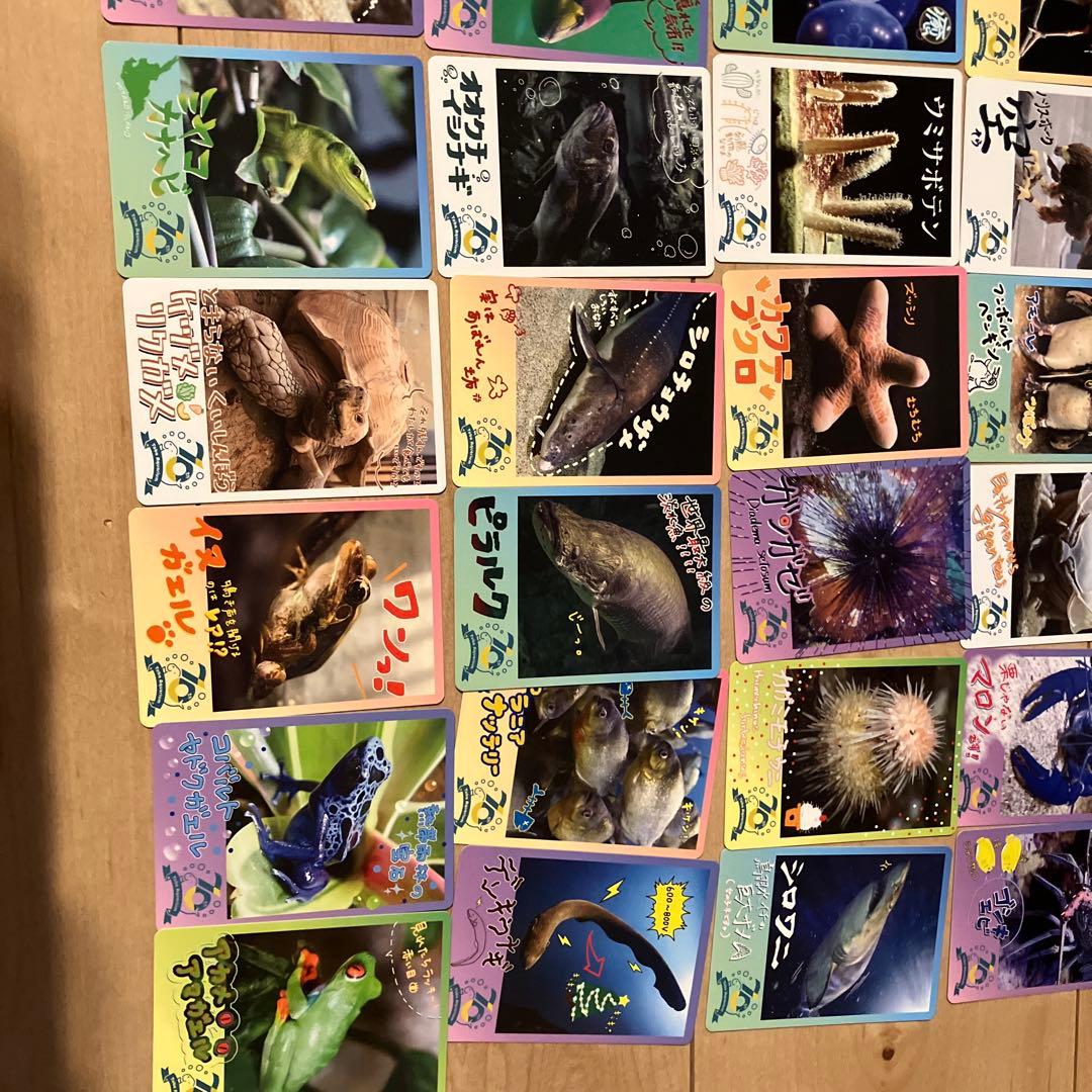 【週末値下げ中】鳥羽水族館コレクションカード　レアキラメイ