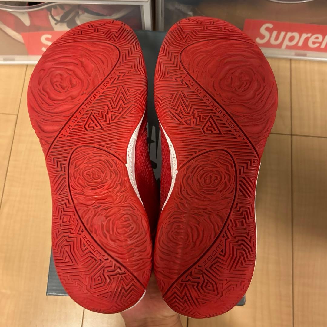 NIKE zoom freak 1 ズームフリーク1 27.0