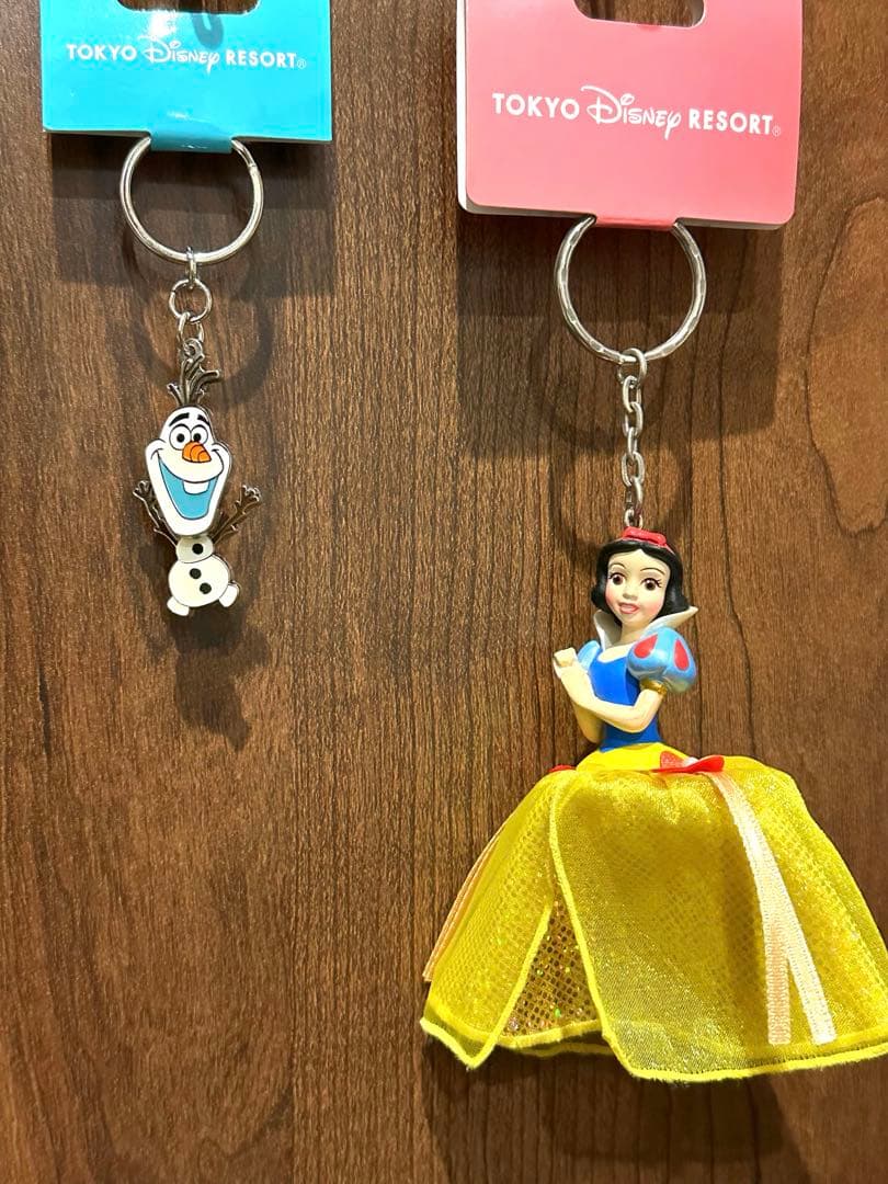 美品【タグ付】ディズニーリゾート プリンセスキーホルダー 13個セット おまけ付