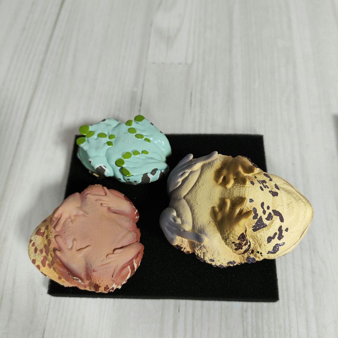 【動物の惑星】スーパーレア!韓国限定リリー&150体限定カエル!! フィギュア