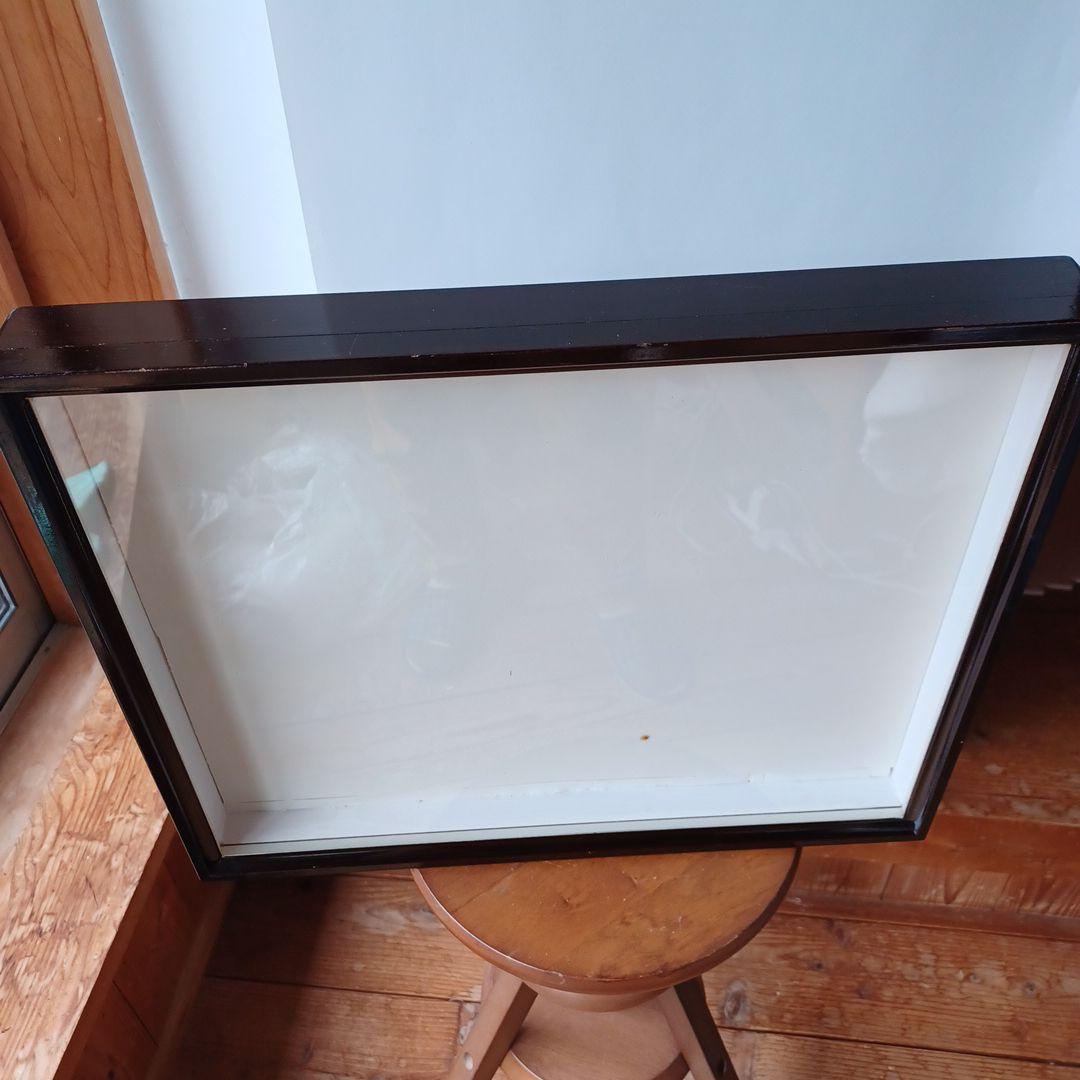 標本箱　ドイツ箱　2個セット