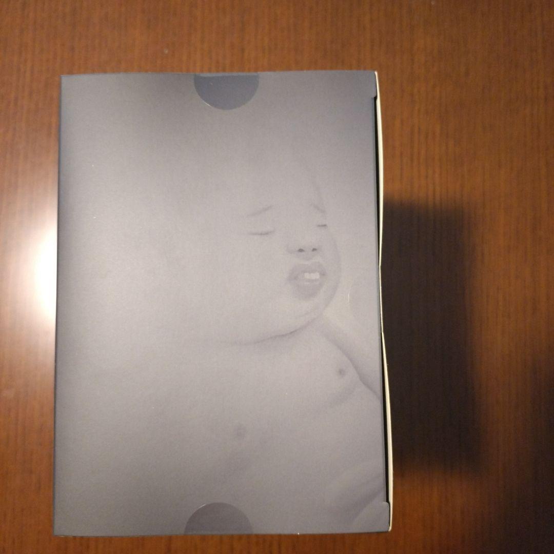 ジム・オルーク/ユリイカ　 とろろ園（友沢こたお+友沢ミミヨ） フィギュア