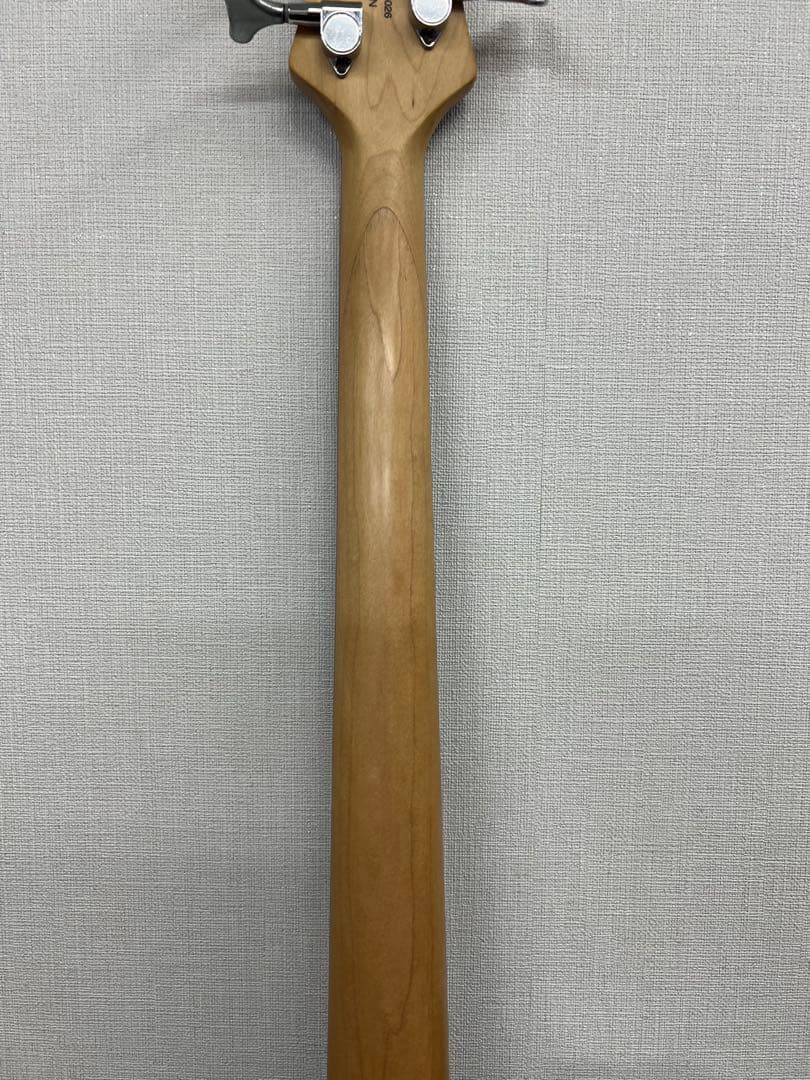 エレキベース cort ACTION　その他機器付