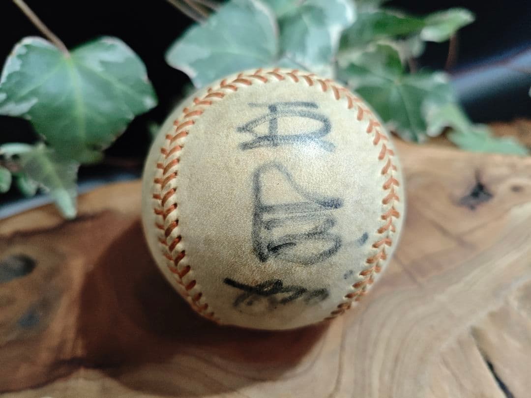 長嶋茂雄・王貞治 サインボール／直筆／野球 記念品