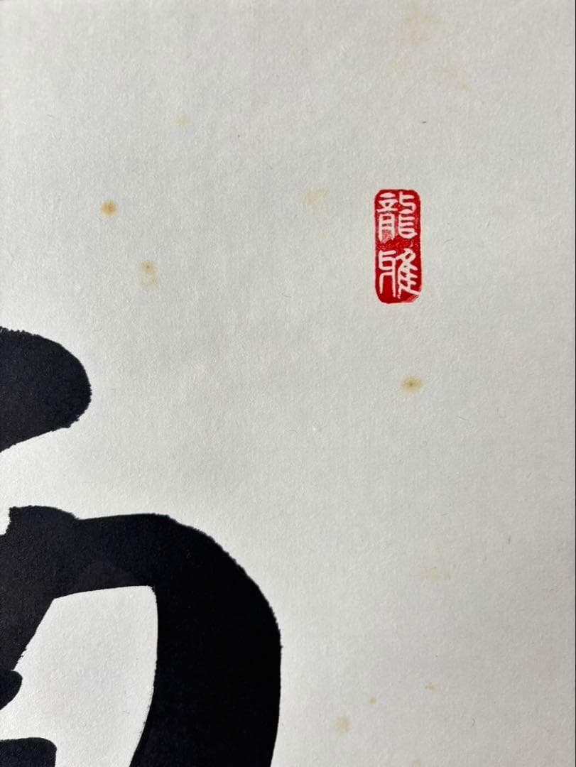 【真作保証】掛軸 渡辺雅心『南無釈迦牟尼佛』仏書 紙本 肉筆 共箱付 掛け軸