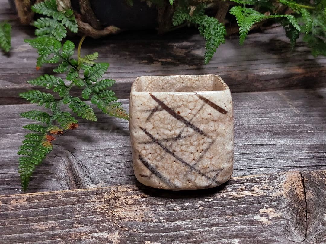 ♥絵志野　ぐい呑み　桐箱付き　⑲　志野　ぐい飲み　骨董品