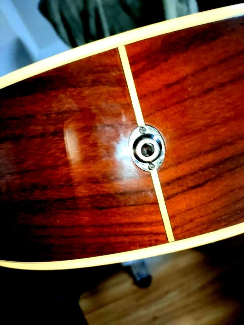 YAMAHA　ls6 are アコギ　ソフトケース付