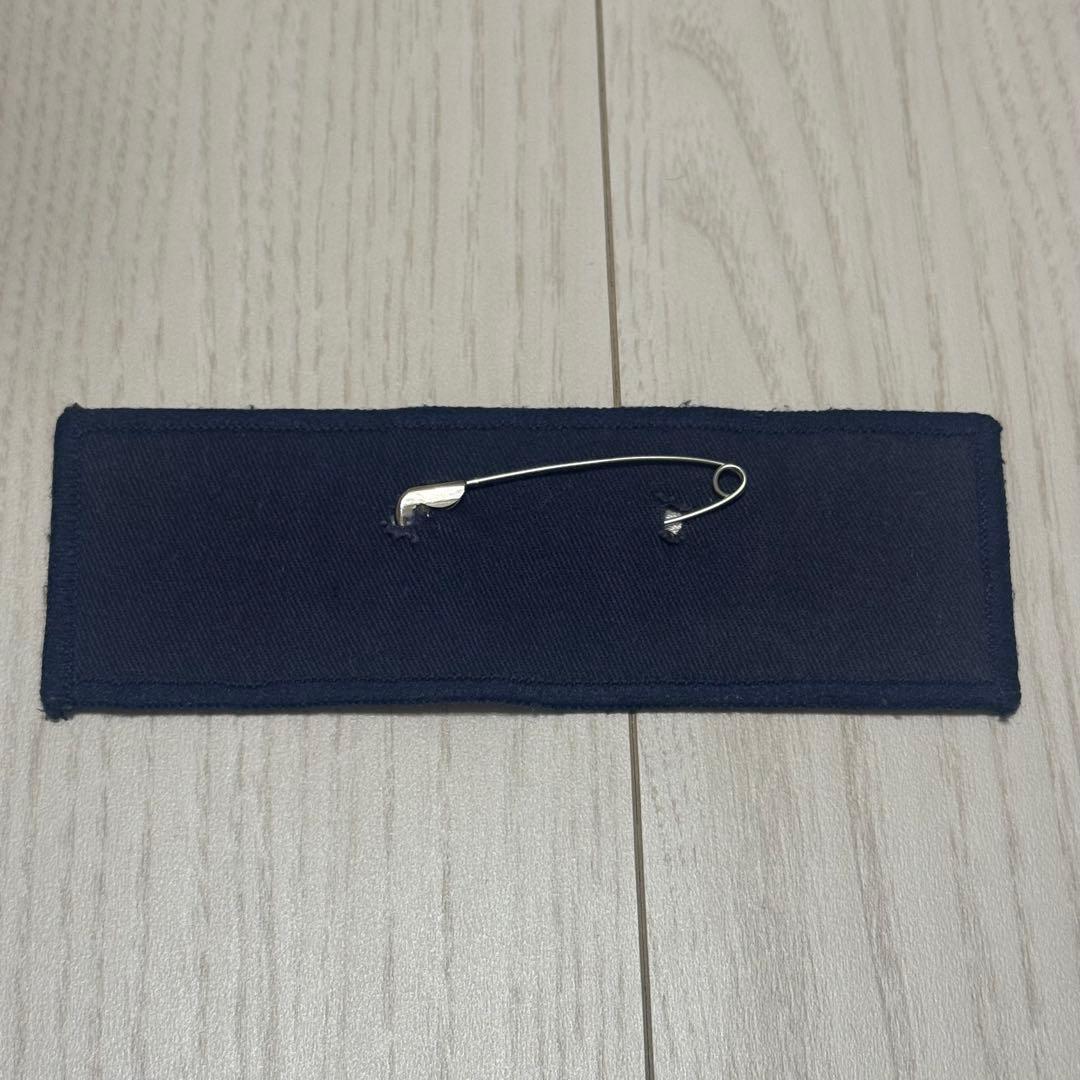 ディノ ネームワッペン せザネ