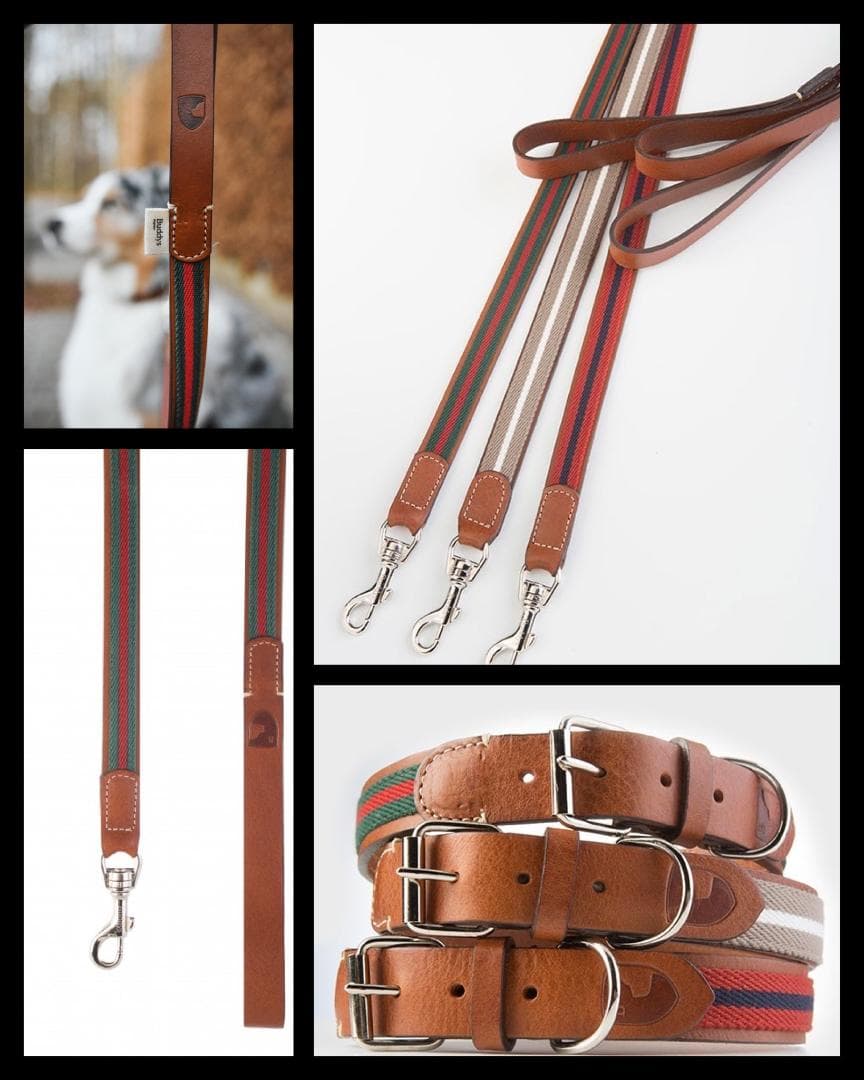 Baseball Green 高級犬用リードと首輪セット（小型犬　中型犬）