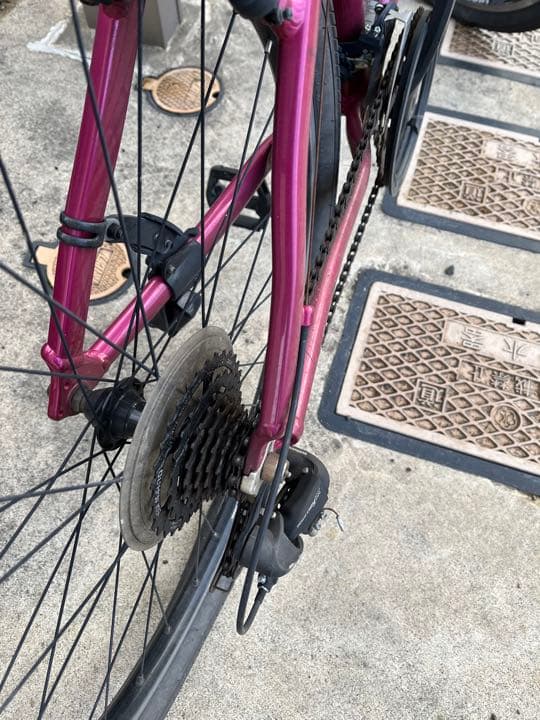 GAIANT snap グレープ