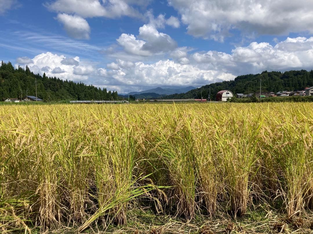 7年産魚沼コシヒカリ玄米30kg