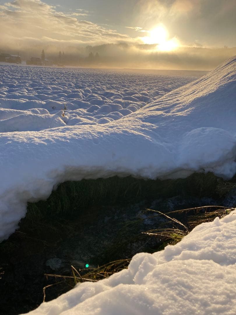 7年産魚沼コシヒカリ玄米30kg