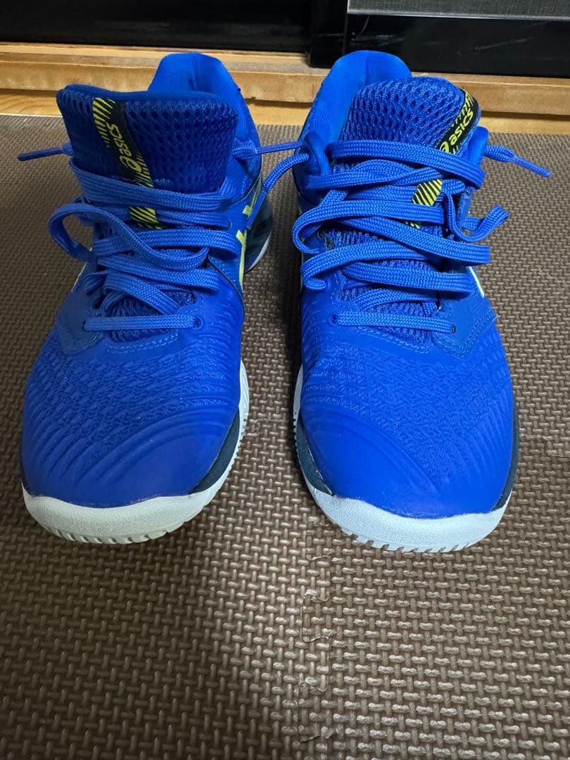 シューズ Asics NETBURNER BALLISTIC FF3 25.0