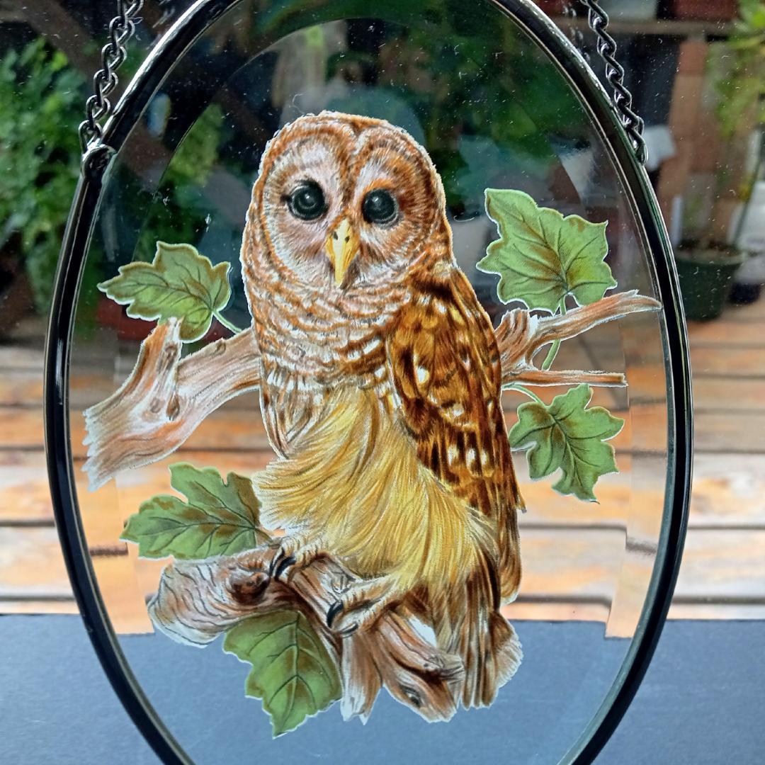 ライフォード社ステンドグラス ふくろうB梟フクロウ /グラスマスターズ トロント