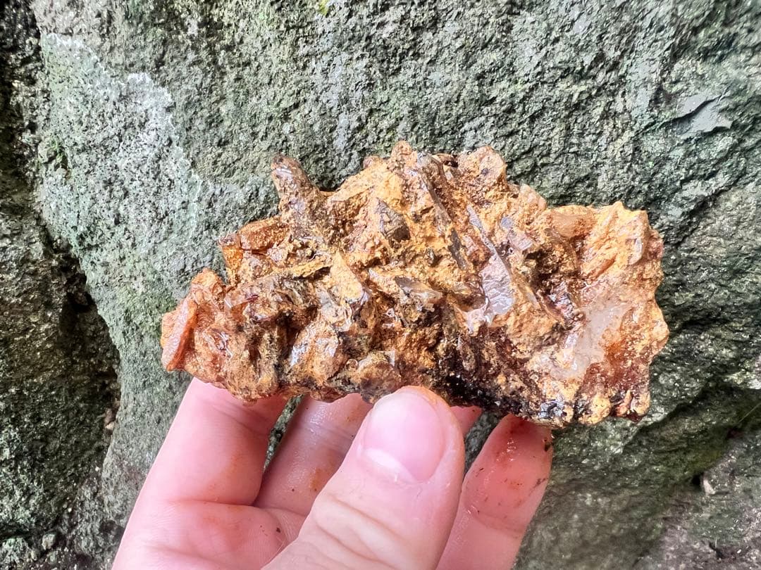 龍脈の精髄 クラスター 宮崎の山が授けた浄化と守護 売上一部保護猫活動に