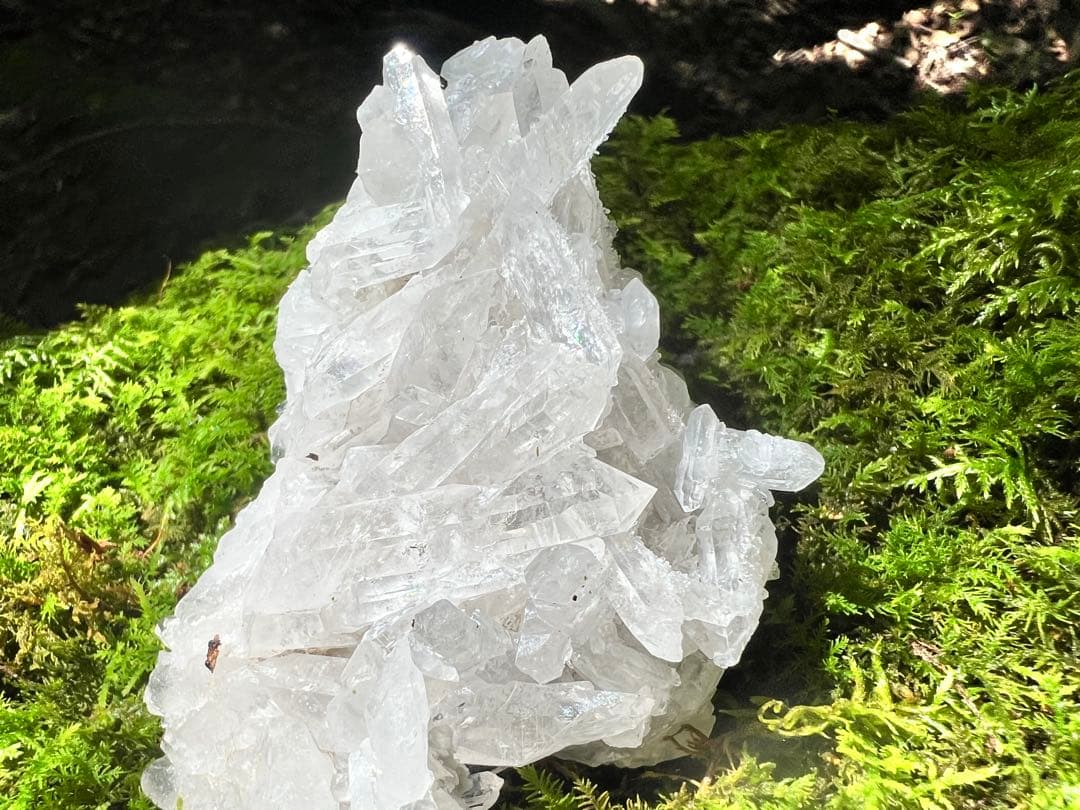 龍脈の精髄 クラスター 宮崎の山が授けた浄化と守護 売上一部保護猫活動に