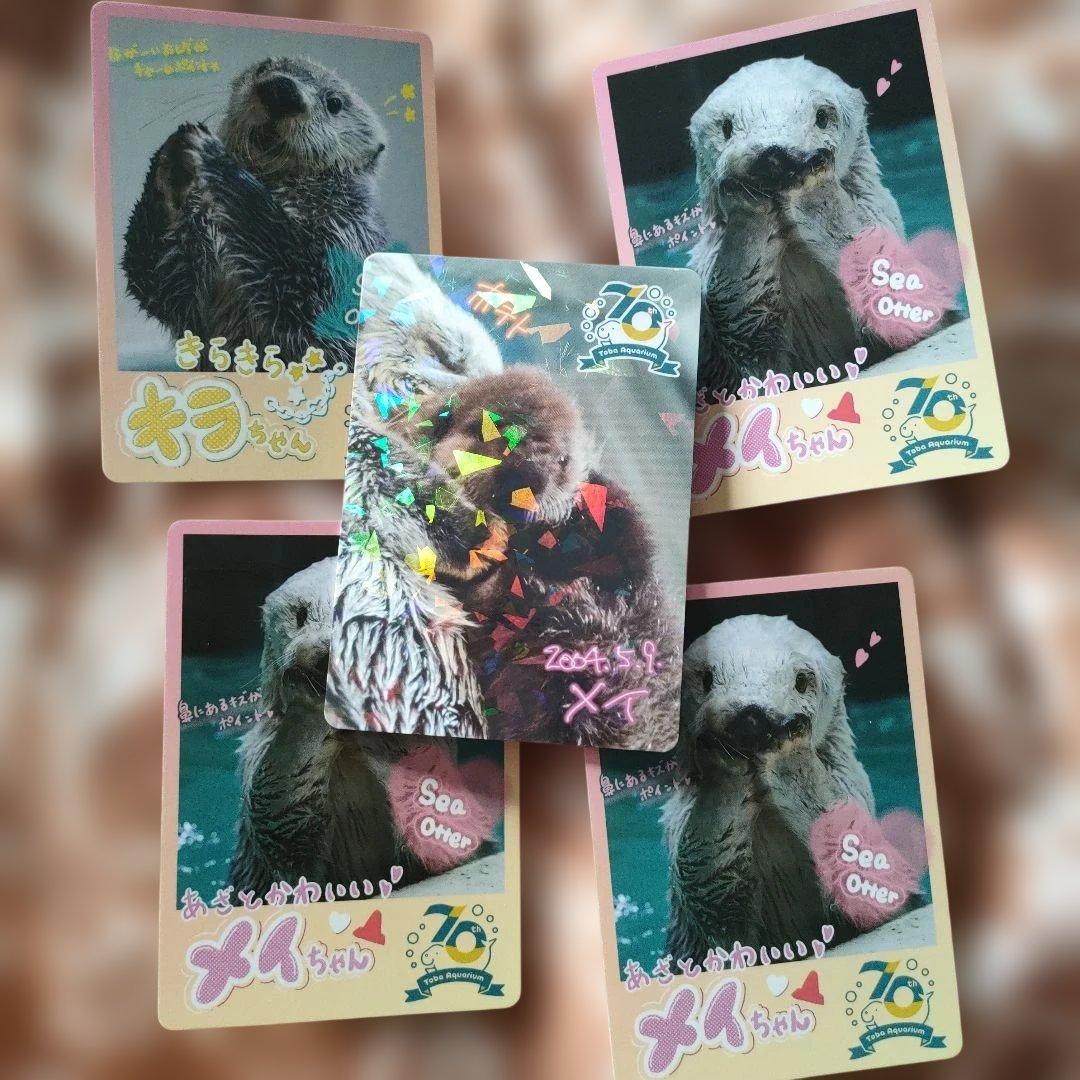 り*め様 鳥羽水族館　トレーディングカード　ラッコ