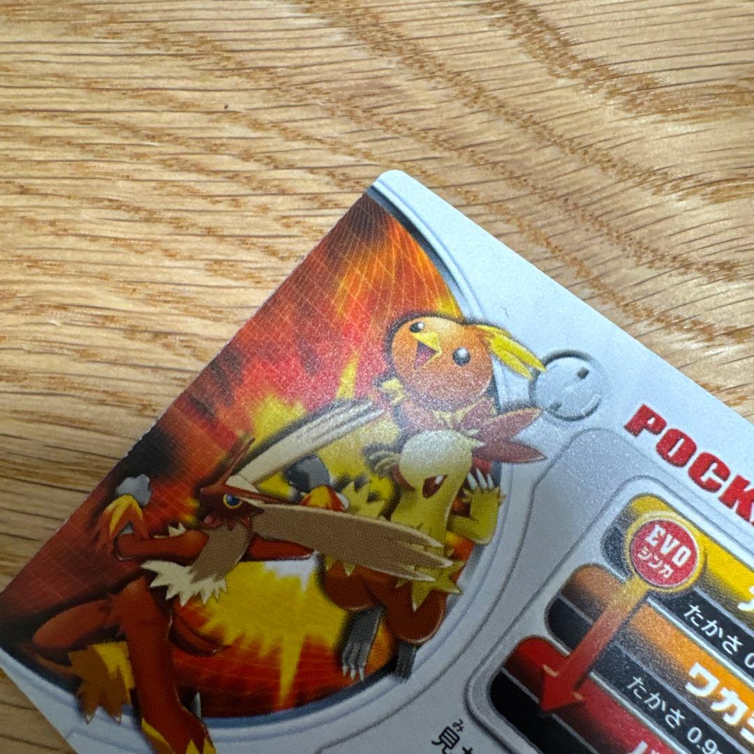 ポケモンずかんカード　アチャモ ワカシャモ バシャーモ　3D【5412