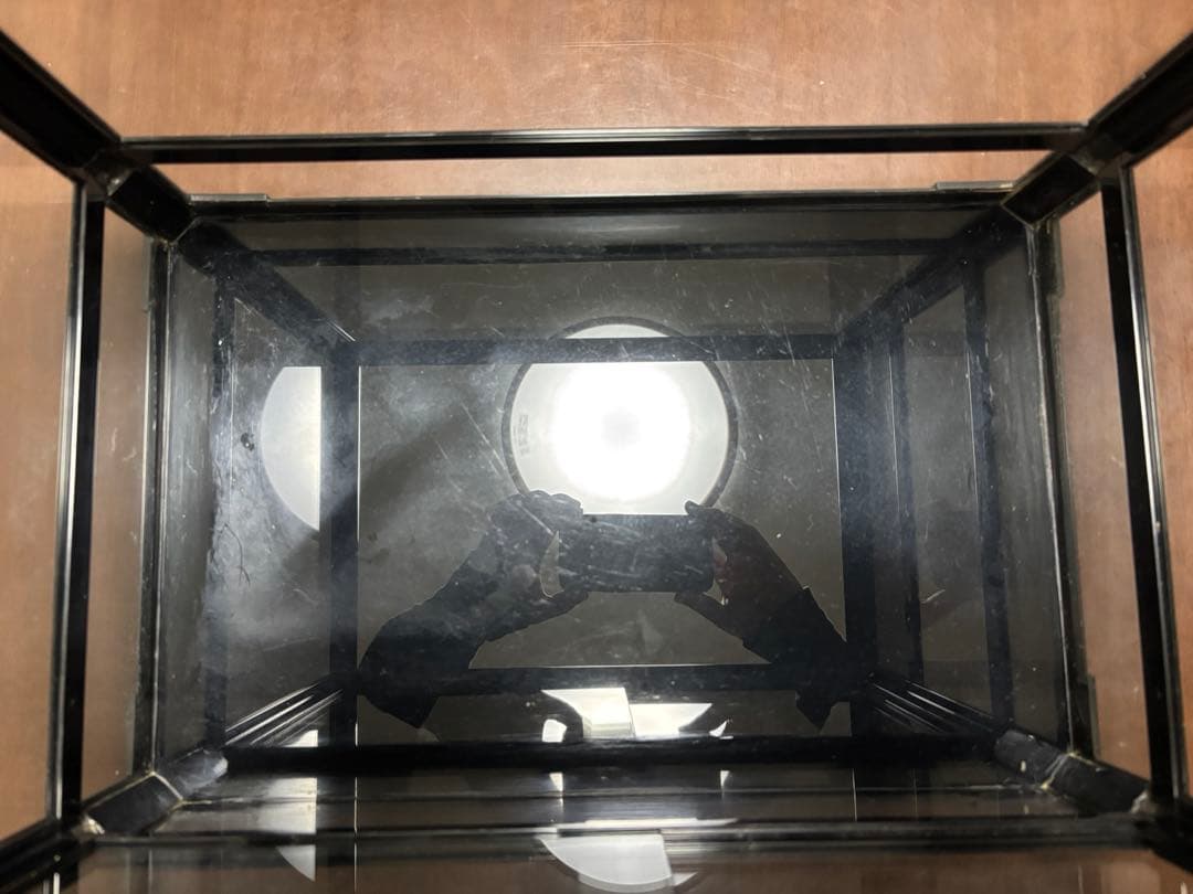 パンテオン　4535 ブラック