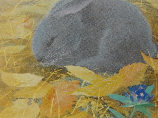 依田万実、【野うさぎ】、希少な額装用画集より、新品額装付、状態良好