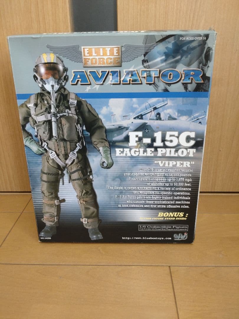 US AIR FORCE PILOT/エリートフォース　F15イーグル