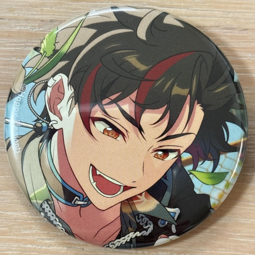 南雲鉄虎 あんスタ コレクション缶バッジ 2025 Jul Idol 30個