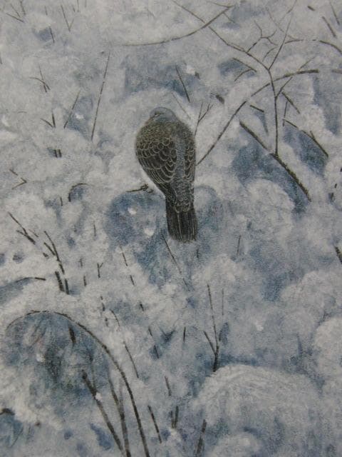 川島睦郎、【凍】、希少な額装用画集画、新品高級額 額装付、状態良好