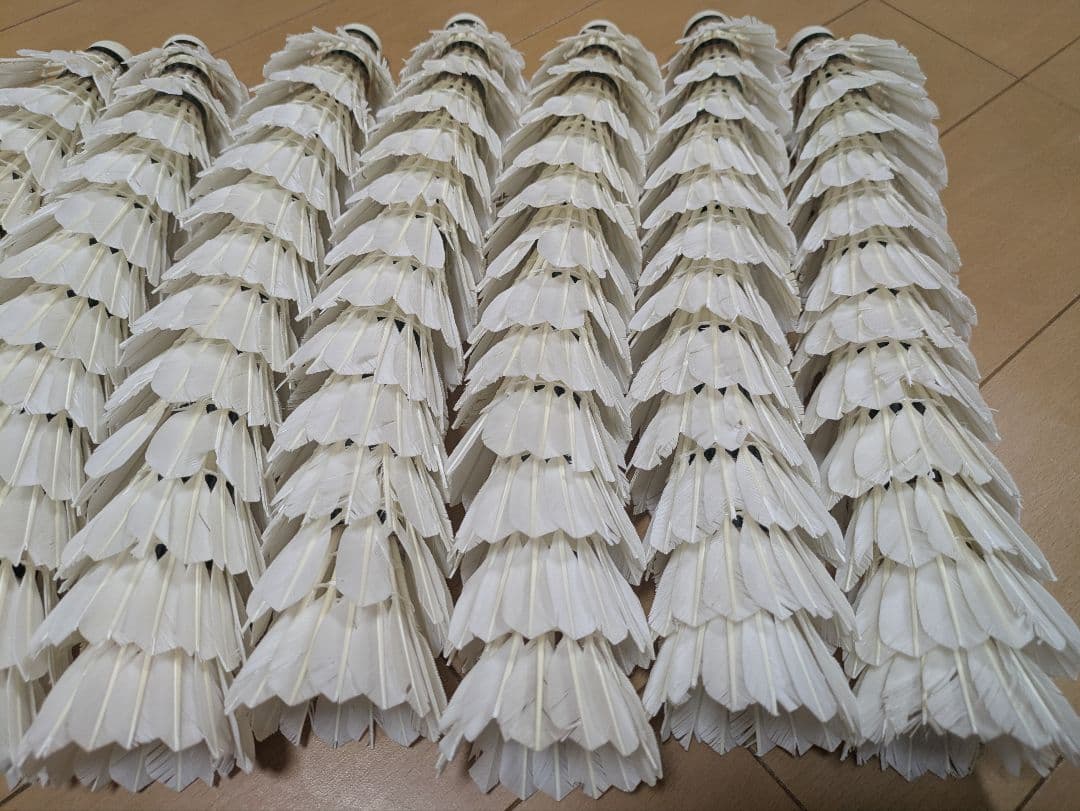 きのこ　バドミントン中古シャトル 120球