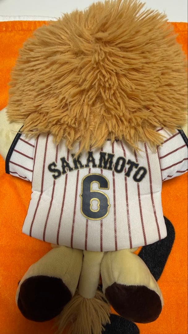 ライオンハヤトセット