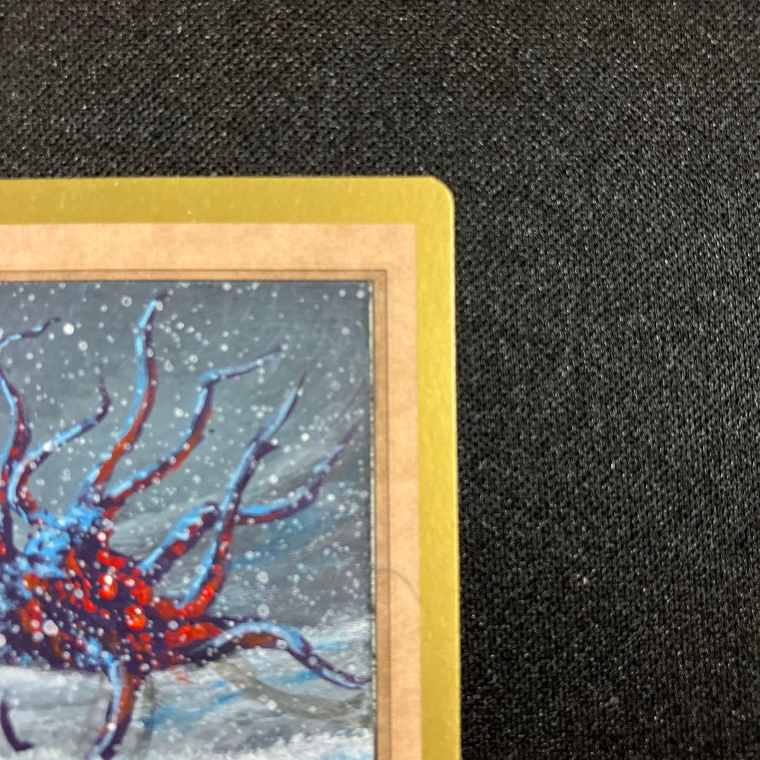 mtg Tundra デュアルランド リクリエイトカード サイン入り