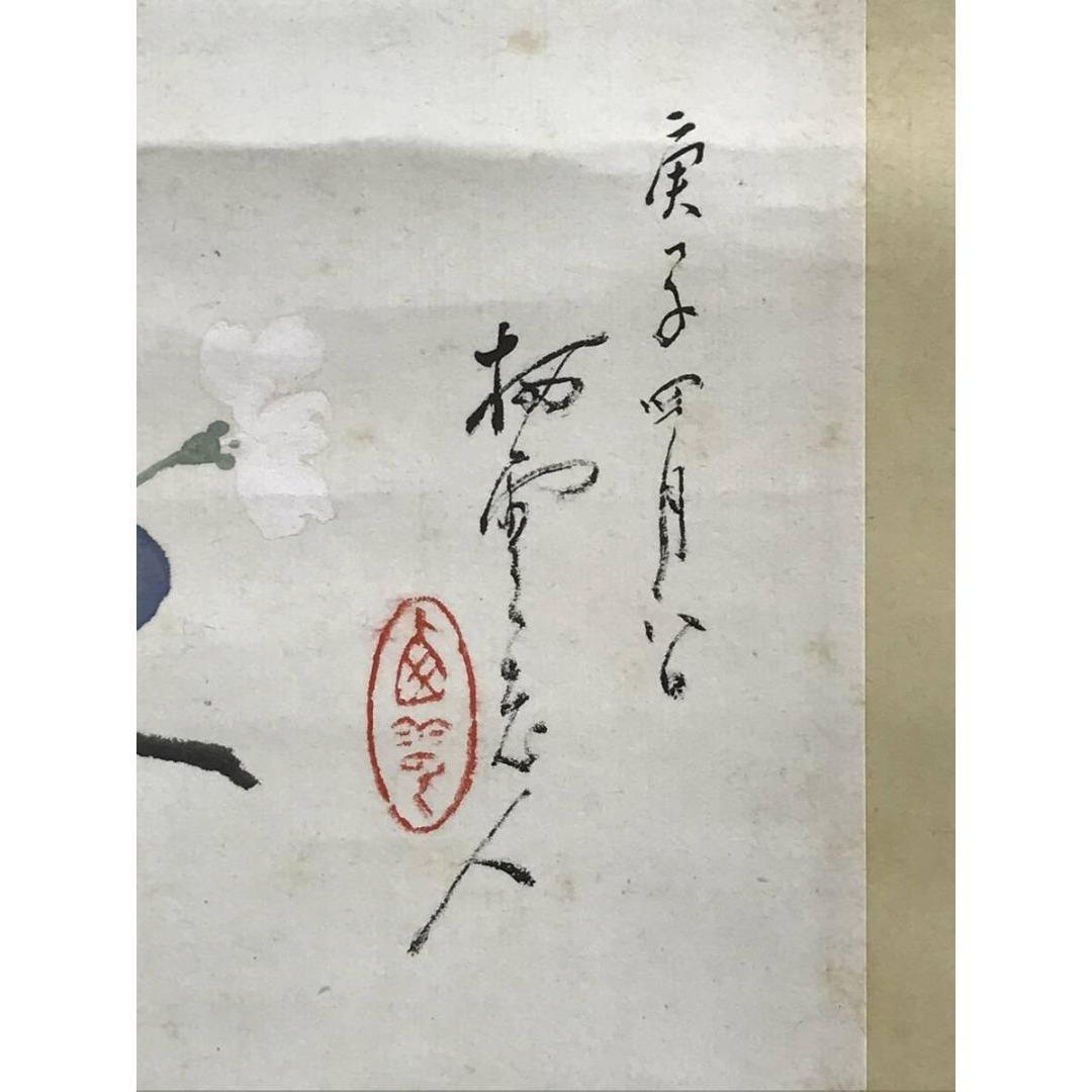 真作/木村棲雲/木村栖雲/瓢箪図/桜図/掛軸/名家伝来/AK-691