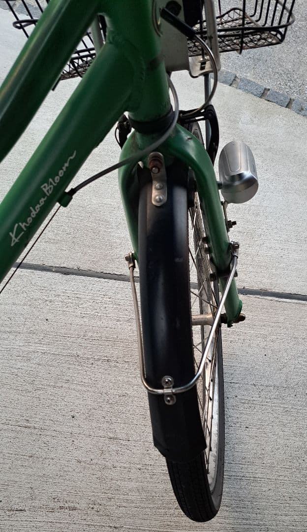 いちこ【直接渡し】 コーダーブルーム　アッソン J24 グリーン