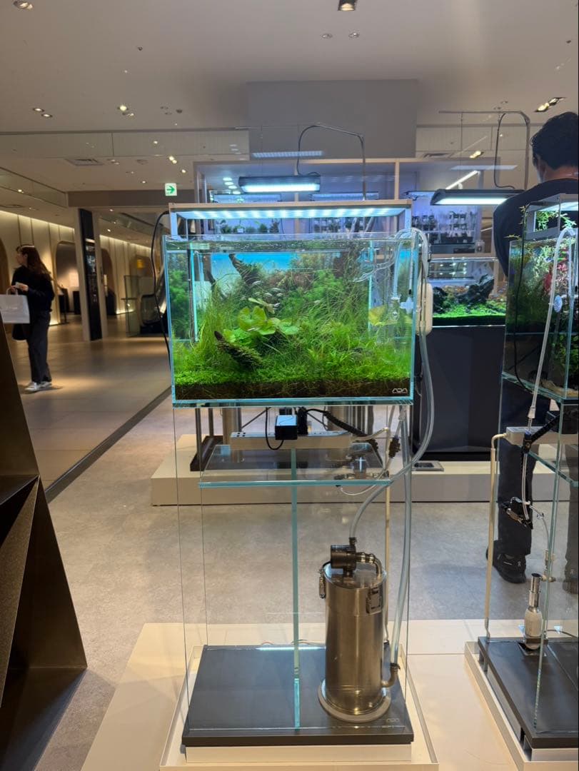 2/10まで！[ADA制作品] ADA アクアリウム 水槽 45cm セット