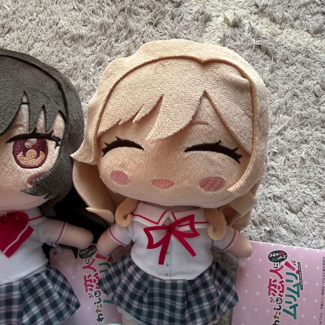 わたしが恋人になれるわけないじゃん みでぃあん ぬいぐるみ わたなれ　5点セット