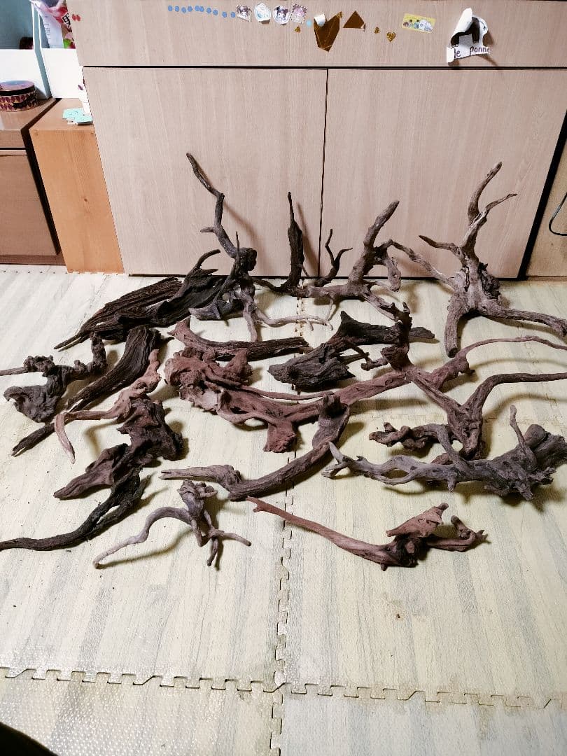 わ*ち様 水槽用流木 複数セット ホーンウッド ブランチウッド