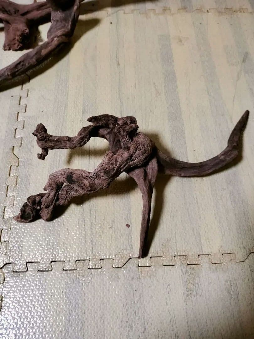 わ*ち様 水槽用流木 複数セット ホーンウッド ブランチウッド