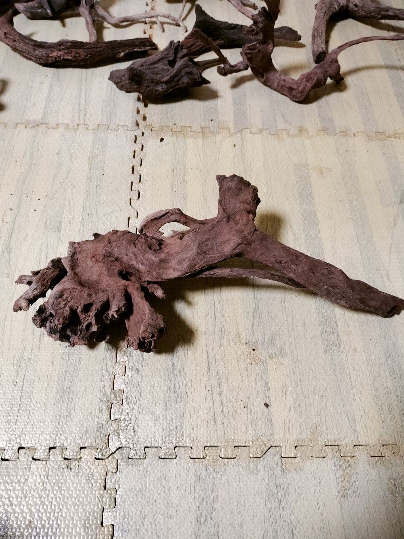 わ*ち様 水槽用流木 複数セット ホーンウッド ブランチウッド