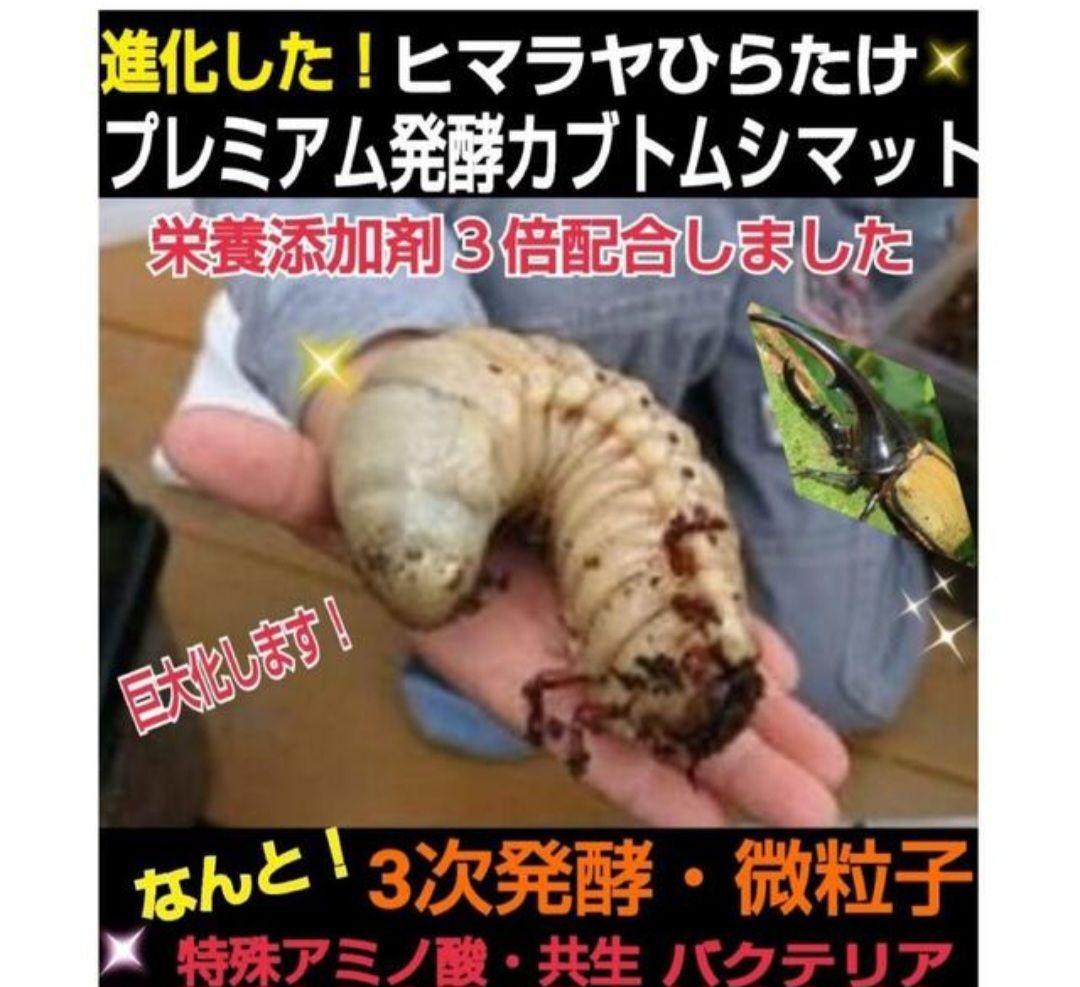 外国産カブトムシ幼虫が大きくなります！プレミアム3次発酵マット(60リットル)
