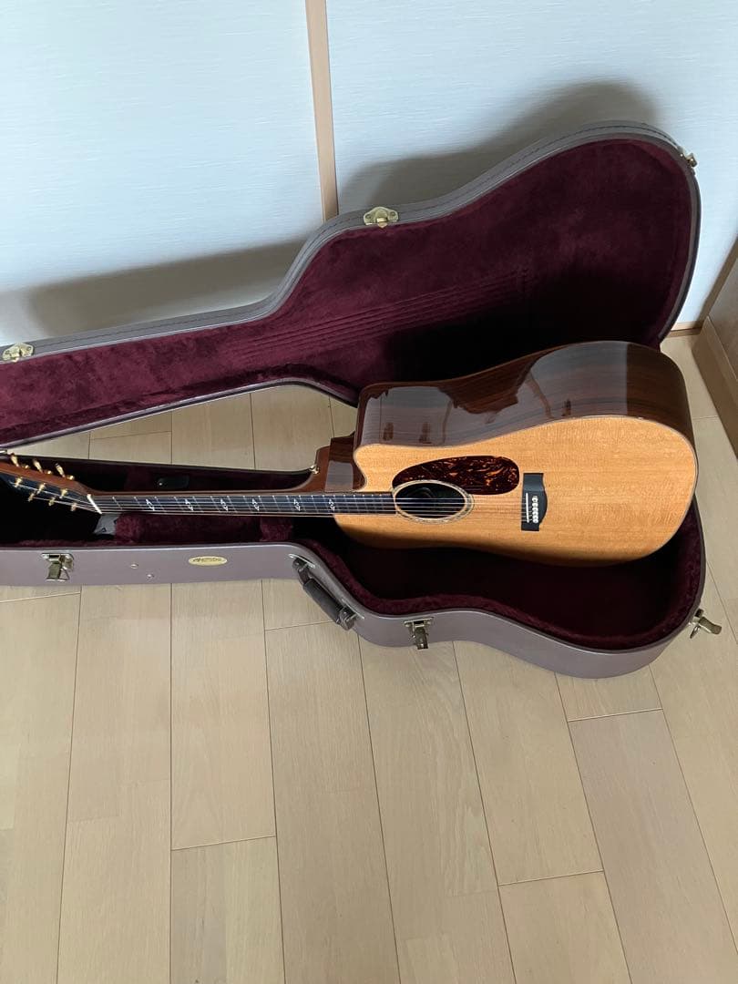 レア/希少　Martin DCPA 1 PLUS マーティン　縦ロゴ