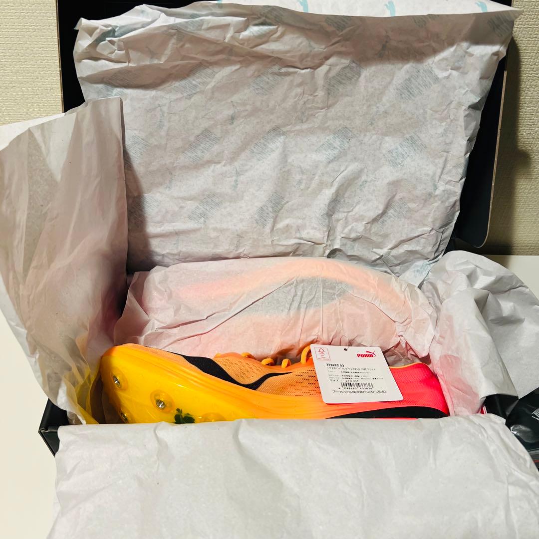 新品　evo SPEED LD Nitro Elite + エボスピード LD