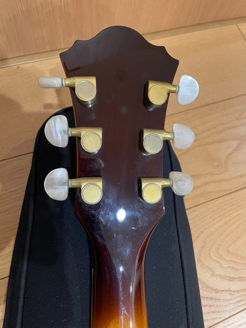 ibanez AS120 希少個体　純正ギグバッグ付属　アイバニーズ