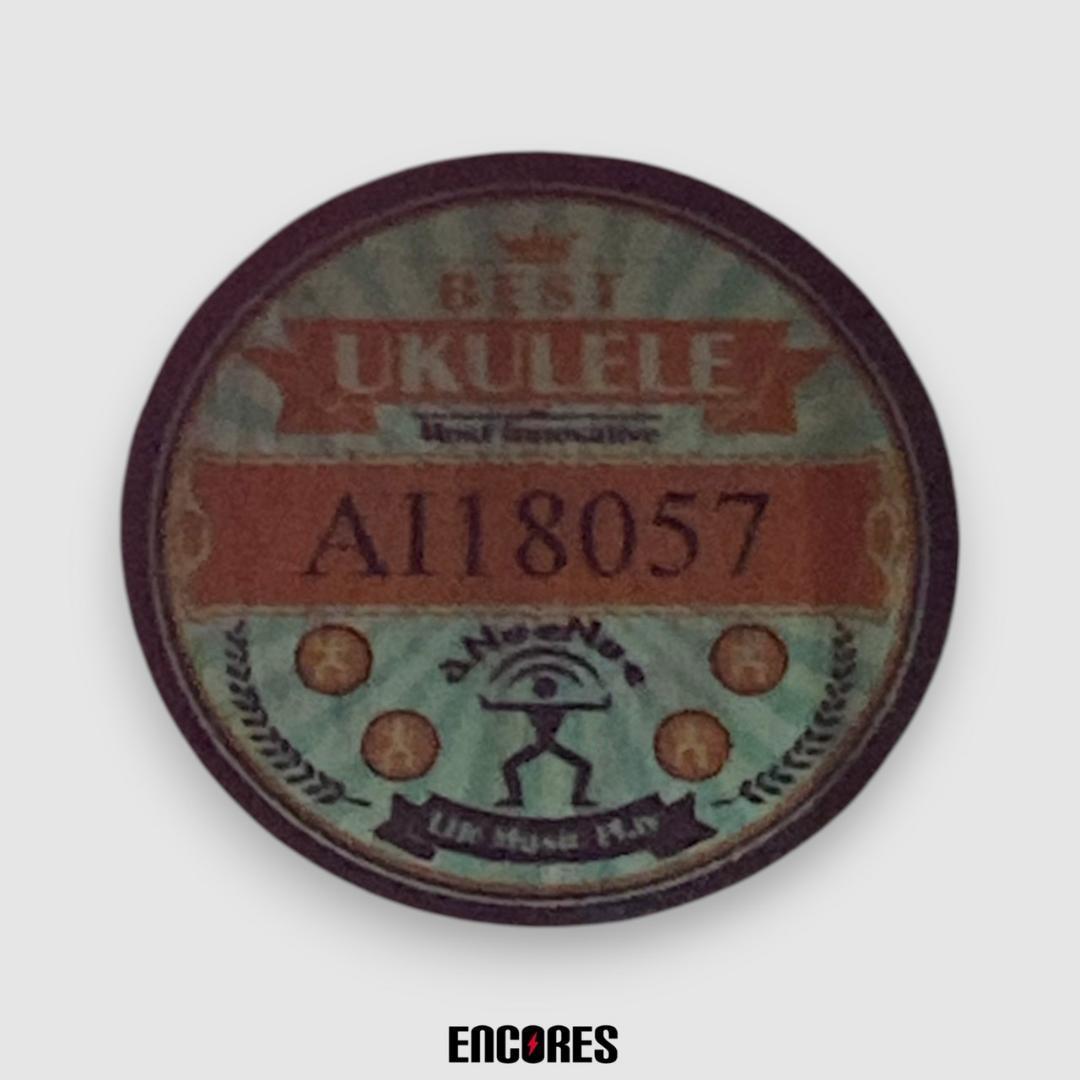 aNueNue aNN-MC10-LC アコースティックギター